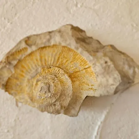 Ferienhaus La Belle Vie Mit Garten, Meerblick, Gemeinschaftspool, 3 Minuten Zum