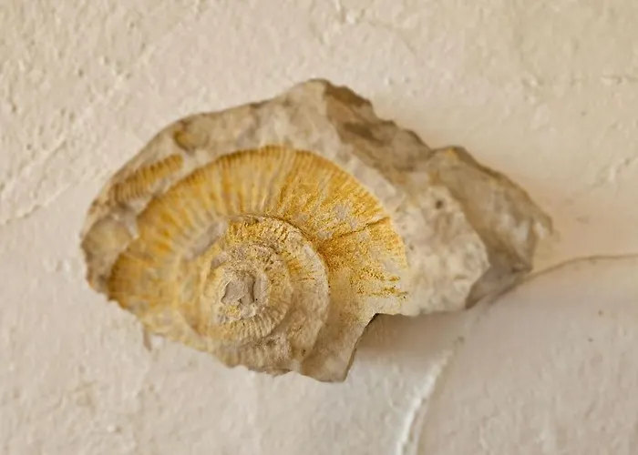 Vakantiehuis La Belle Vie Mit Garten, Meerblick, Gemeinschaftspool, 3 Minuten Zum